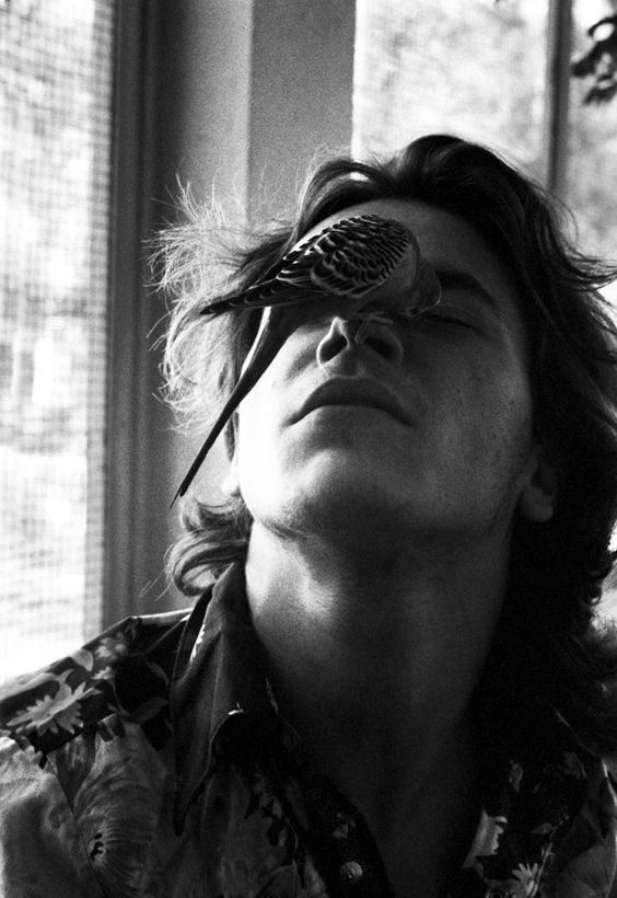 f6f9f6c511c58f966a79b09d7b445fc1